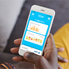 Person holding their cellphone looking at the Cirro app