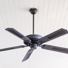 Black ceiling fan